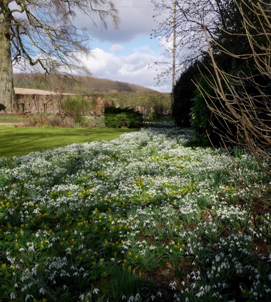 The Old Rectory, Fawkham